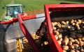 Harvesting potatoes from the field and sorting them on a potato crop machine.