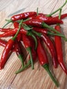 harvesting red chilies from planting yourself in the garden, can save quite a lot of spending money