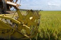 Harvesting ripe rice on paddy field Royalty Free Stock Photo