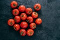 Harvesting ripe wet red tomatoes on dark background. Top view. Copy space. Organic fresh vegetables. Raw food. Clean eating