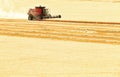 A combine harvesting a ripe wheat field.