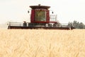 A red combine harvesting a ripe grain field