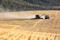 Harvesting a ripe Idaho wheat field