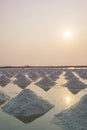 Harvesting salt in salt farm petchaburi thailand Royalty Free Stock Photo