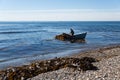 Harvesting of seaweed kelp from a boat Royalty Free Stock Photo