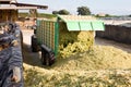 Harvesting of silage Royalty Free Stock Photo