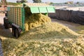 Harvesting of silage Royalty Free Stock Photo