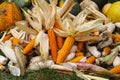 Harvesting in smallholder agriculture. The stalks and cobs of corn and pumpkins are collected and waiting to be processed Royalty Free Stock Photo