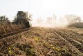Harvesting of soy bean field with combine Royalty Free Stock Photo