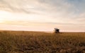 Harvesting of soy bean field with combine Royalty Free Stock Photo