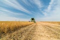 Harvesting of soy bean field with combine Royalty Free Stock Photo