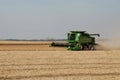 Harvesting soy beans Royalty Free Stock Photo