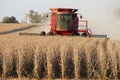 Harvesting Soybean in a Case Combine Harvester Royalty Free Stock Photo