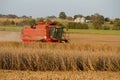 Harvesting Soybean in a Case Harvester Combine Royalty Free Stock Photo