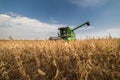 Harvesting of soybean field Royalty Free Stock Photo