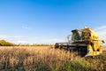 Harvesting of soybean field with combine harvester. Royalty Free Stock Photo