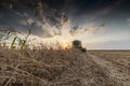 Harvesting of soybean field with combine Royalty Free Stock Photo