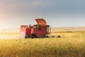 Harvesting of soybean field with combine Royalty Free Stock Photo