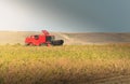 Harvesting of soybean field with combine Royalty Free Stock Photo