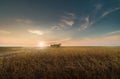 Harvesting of soybean field with combine Royalty Free Stock Photo