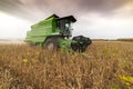 Harvesting of soybean field with combine Royalty Free Stock Photo