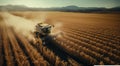 Harvesting soybeans, corn together at sunset Royalty Free Stock Photo