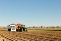 Harvesting sugar beets in Idaho. Royalty Free Stock Photo