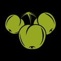 Harvesting symbol, vector fruits isolated. Ripe organic sweet green apples.