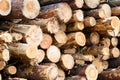 Harvesting timber at logging. Stacked in piles sawn timber Royalty Free Stock Photo