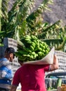 Harvesting time on plantations of bananas fruits on La Palma island, Canary, Spain. Worker carring cluster of green bananas on his