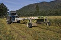 Harvesting triticale for silage