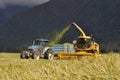 Harvesting triticale for silage