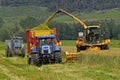 Harvesting triticale for silage