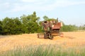 Harvesting in Ukraine combine harvester mows wheat in the field Royalty Free Stock Photo
