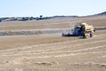 Harvesting Wheat