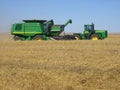 Harvesting wheat Royalty Free Stock Photo