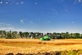 Harvesting wheat