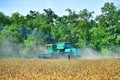 Harvesting wheat