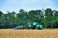 Harvesting wheat