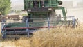 Harvesting wheat