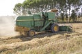 Harvesting wheat