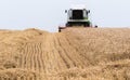 Harvesting of wheat field with combine Royalty Free Stock Photo