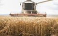 Harvesting of wheat field with combine Royalty Free Stock Photo