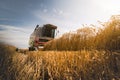 Harvesting of wheat field with combine Royalty Free Stock Photo