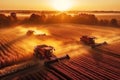 Harvesting wheat grain by combine harvester in field in summer. Aerial view top. Generative AI Royalty Free Stock Photo