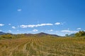 After harvesting wheat straw