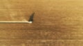 Harvesting of wheat in summer. Green combine harvester working in the field. Agricultural machine collecting golden ripe wheat on Royalty Free Stock Photo