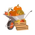 Harvesting with Wheelbarrow and Wooden Crate with Ripe Vegetables as Seasonal Yield Vector Illustration