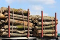 Harvesting of wood on a car. The sawn logs lie in the woodpile. Heating of premises in the village. Industrial deforestation of fo Royalty Free Stock Photo