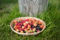 Harvests: assorted berries in basket Royalty Free Stock Photo